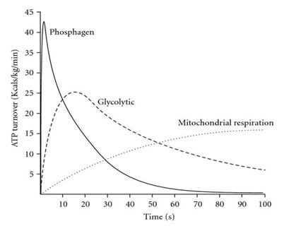 the energy pathways explained based on ATP