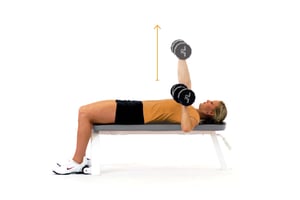 Bench Press