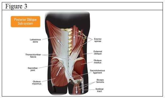 Global 2025 core muscles