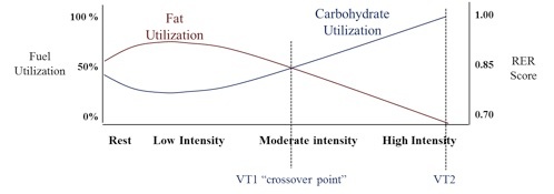 Cardio Fig 1.3