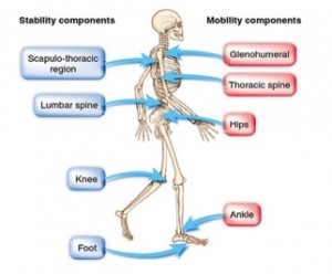 Stability Mobility