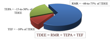 Rmr asia. Общий ежедневный расход энергии TDEE. TDEE.