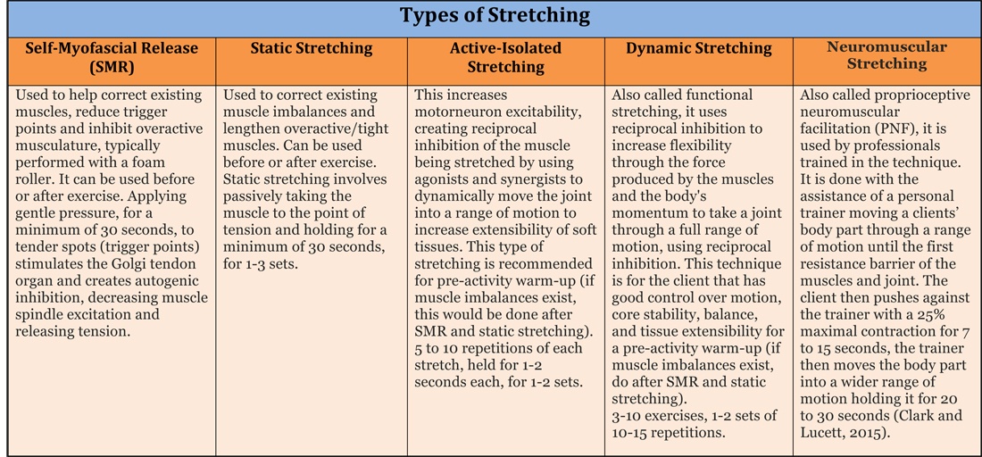 types of stretching chart