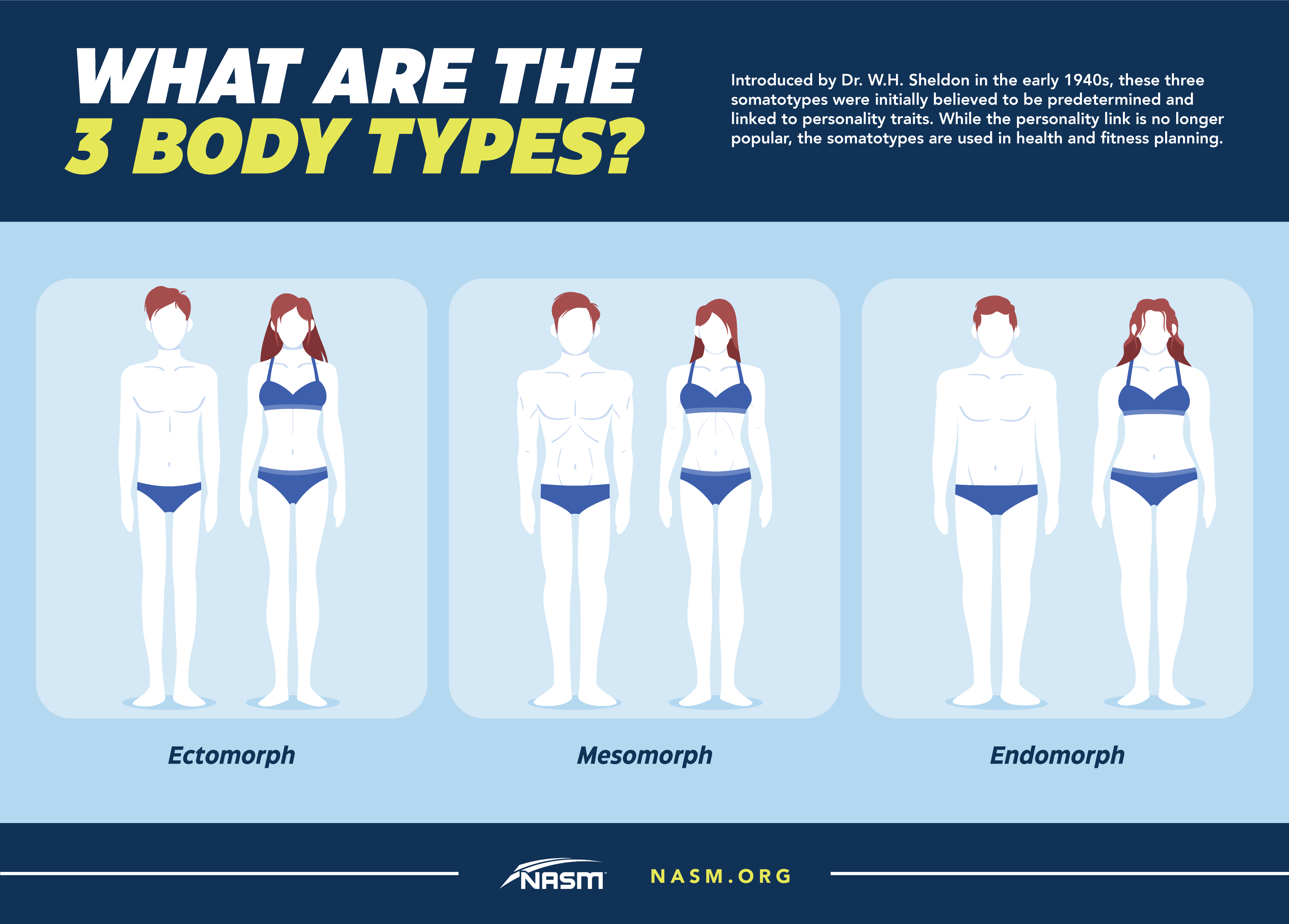 Why do people have different body types even though they're doing