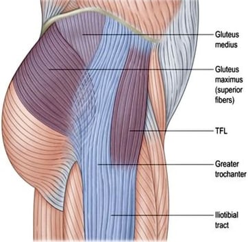 diagram of gluteus medius to IT band tract