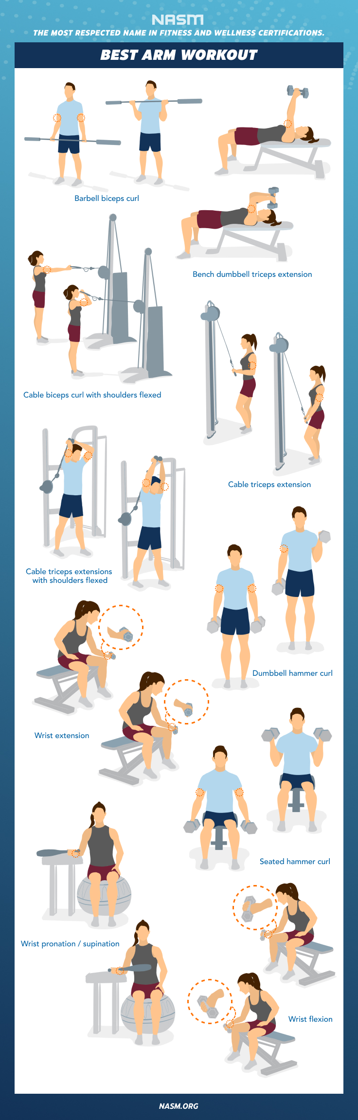 The 9 Best Arm Exercises for Muscle Definition & Strength - NASM
