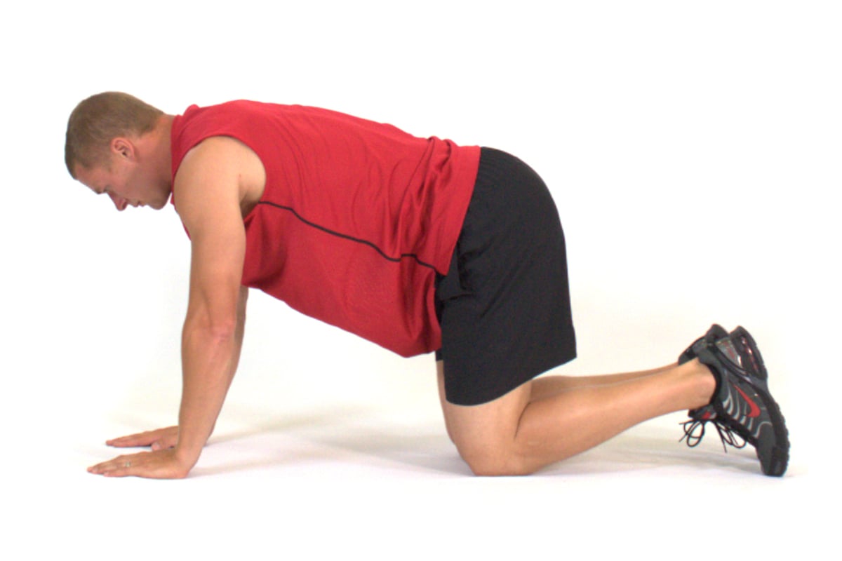 Quadruped Hip Extension