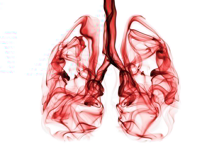 Lungs