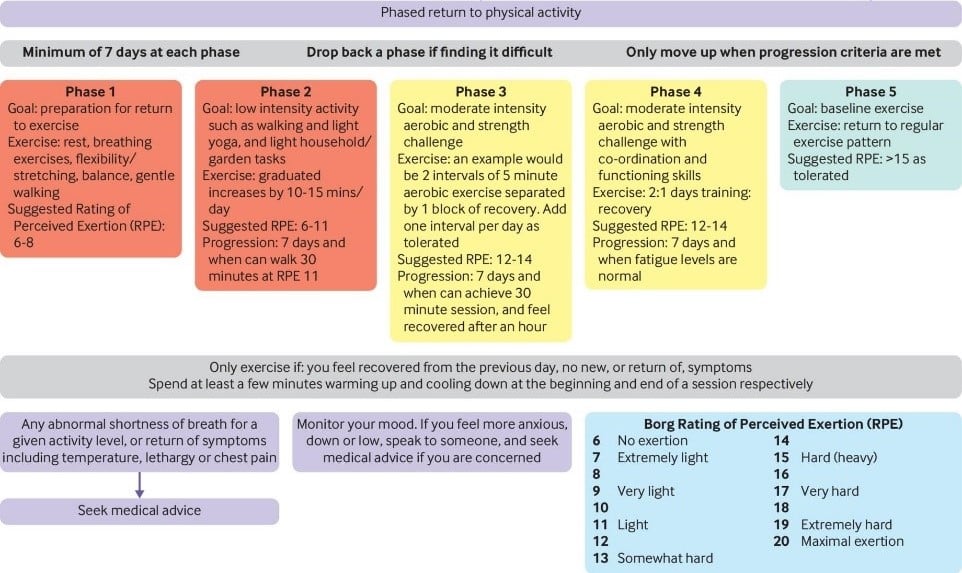 returning to exercise guidelines in 5 phases