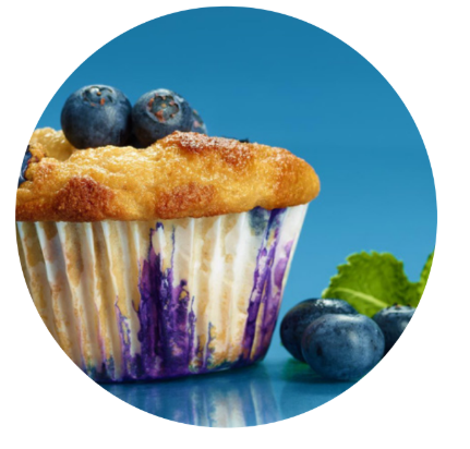 NASM blueberry muffin
