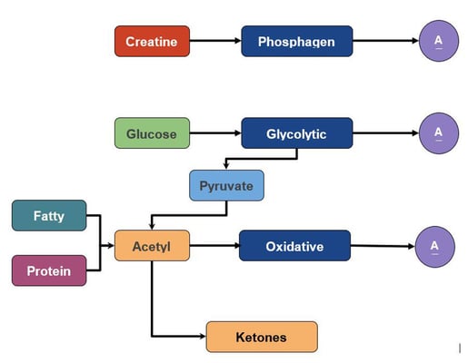 energy systems diagram