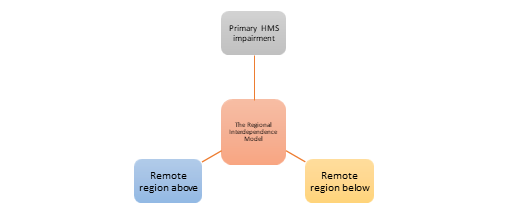 The Regional Interdependence Model And Corrective Exercise