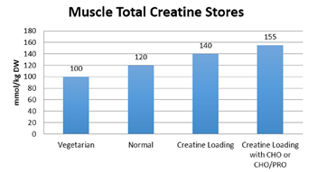 total creatine in muscle chart based on individual