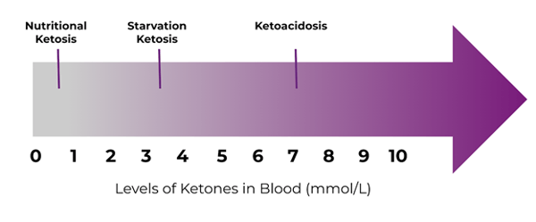 Ketones Levels for Blood