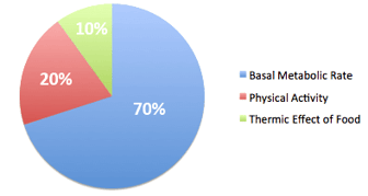 Metabolism Graph