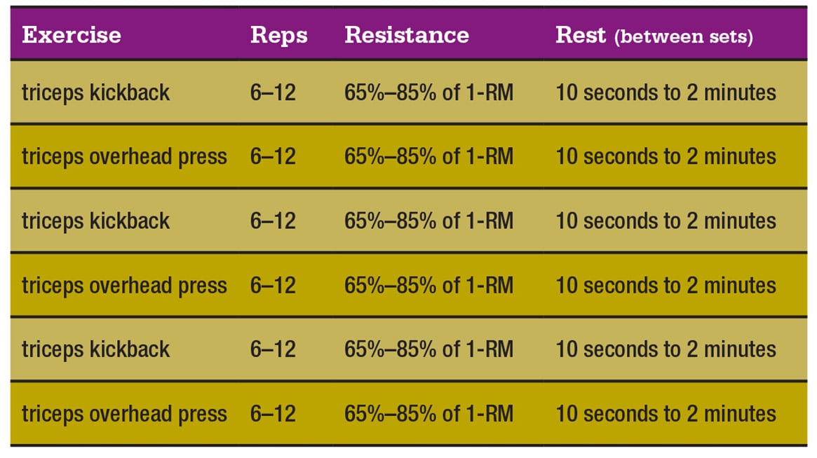 muscle-clock-chart-3