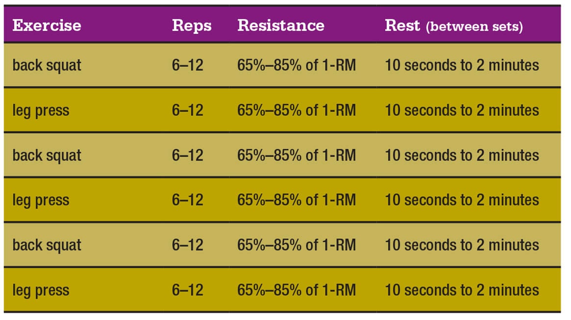 muscle-clock-chart-4