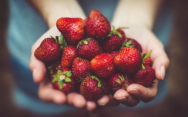 A hand full of strawberries 
