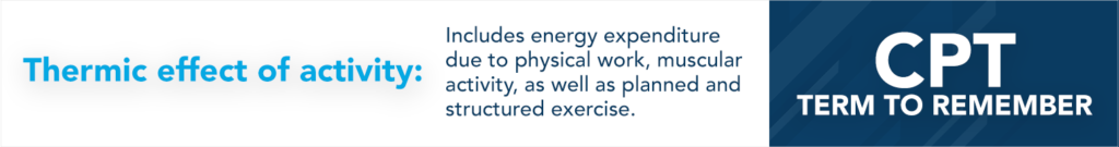 Thermic effect of activity definition