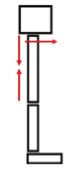 Diagram of hamstring and pelvis