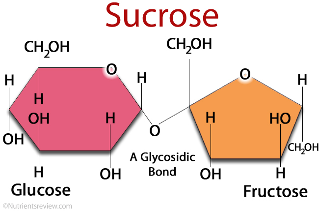 Figura 1. Molecole di saccarosio, glucosio e fruttosio.