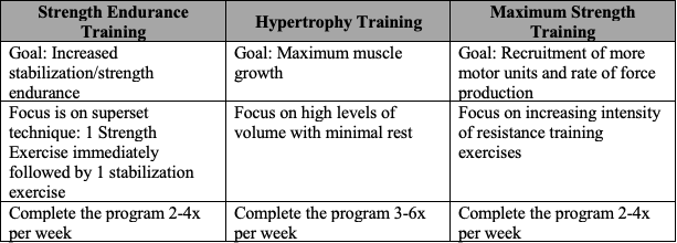 OPT Model Phases