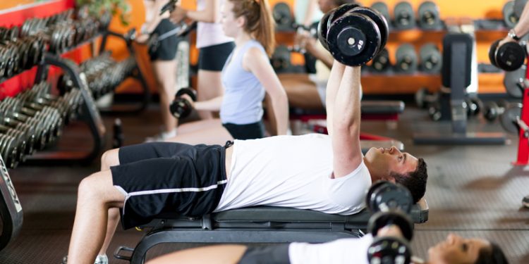 A Man Using Weights in the Gym