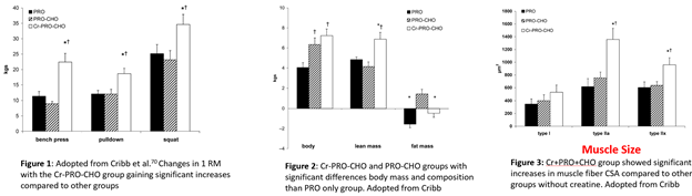 chart about creatine