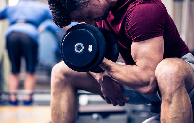 Bulking vs. Cutting: Pros, Cons, and Comparison