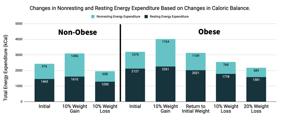 Does Your Body Weight Have a Set Point? - InBody USA